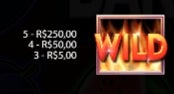 hot to burn wild