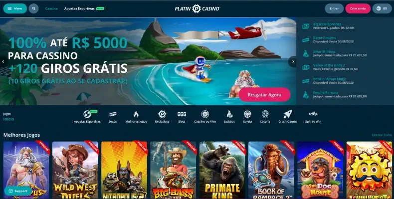 Como e a Experiencia de usuario no Platin Casino